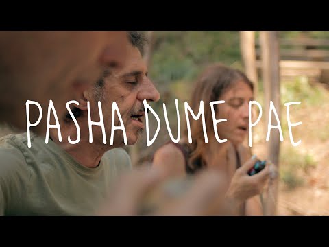 PASHA DUME PAE