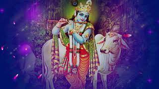 Lord Krishna Video Background | Video Backgrounds | Jai Sri Krishn screenshot 2