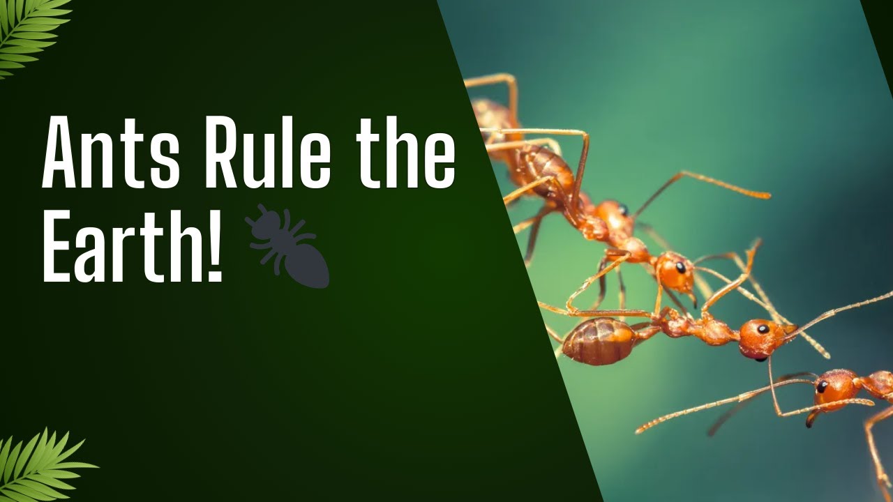 10 Mind-Blowing Ant Facts You Didn’t Know 🐜 | WildWhisper