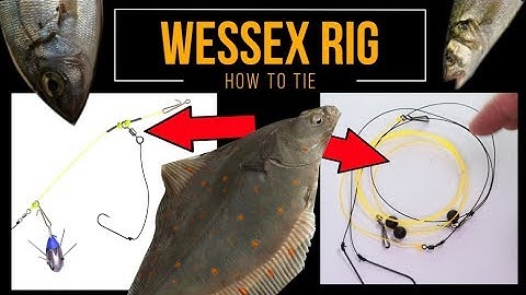 Sea Fishing Rig Guide - WESSEX RIG A two minute rig that works