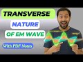 Transverse Nature of Electromagnetic Waves 🔥I B.tech, B.Sc, Msc, IIT JEE, NEET