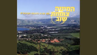 שיר השומר