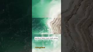 FAKTA UNIK LAUT MATI #shortsfeed #shortsyoutube #shortvideo #faktaunik #shortsvideo #shorts