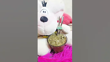 حالات واتس اب سفرهم طال حرف A E 
