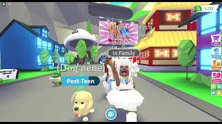 *NEW* PLAYFUL PETS UPDATE | Roblox Adopt Me