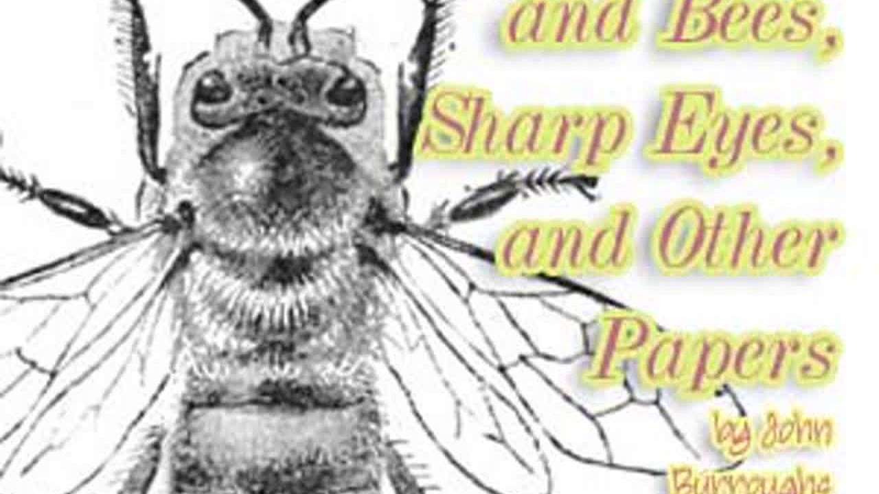 Birds and Bees, Sharp Eyes, and Other Papers by John BURROUGHS read by Various | Full Audio Book