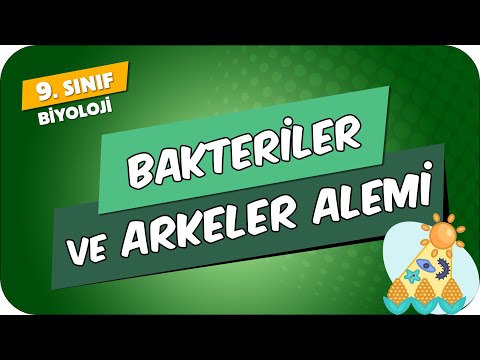 Bakteriler ve Arkeler Alemi | 9.Sınıf Biyoloji #2024