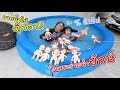 อาบน้ำตุ๊กกตา 15 ตัว! ในสระว่ายน้ำยักษ์!!! | แม่ปูเป้ เฌอแตม Tam Story