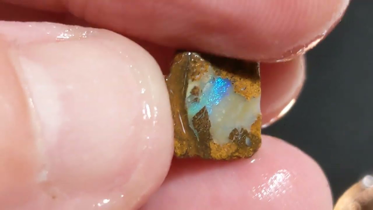 NR eBay Auction! 22.9ct Pipe Boulder Opal Rough QLD Australia