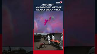 ANIMATION -MICROSCOPIC VIEW OF DEADLY EBOLA VIRUS | N18G