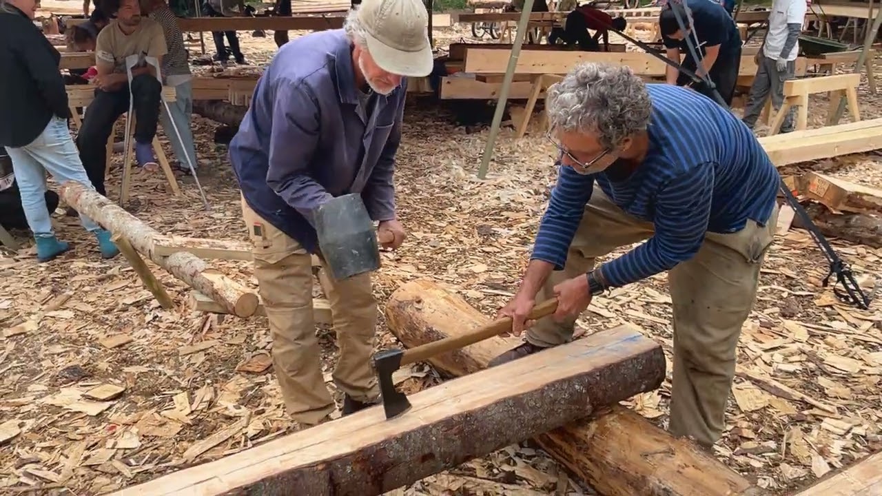 Kesurokai in Sweden 2025 HD Video