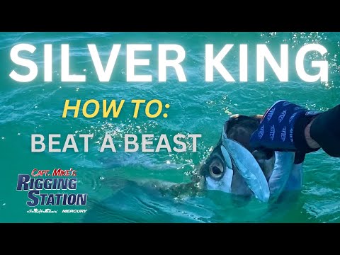 Silver king fishing tips & tricks | Tarpon Silver King fishing | Florida tarpon fish 2024 | Fsftv