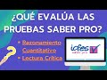 ¿Qué evalúan en las Pruebas Saber Pro en los módulos de Razonamiento Cuantitativo y Lectura Crítica?