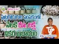 Mushroom Farming- Earning Monthly 1 Lakh Net Income | Sri Lakshmi |