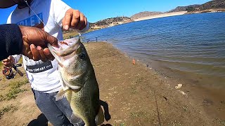 Large Mouth Bass Fishing. Exploring Lake Irvine and Teaching new angler about bass fishing.