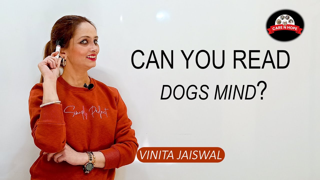 Can Humans Read a Dog’s Mind? 🐶🧠 | Understanding Dog Behavior & Emotions | Care N’ Hope