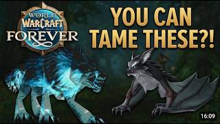 WoW Forever: 7 New Low Level Hunter Pets to Hunt Down