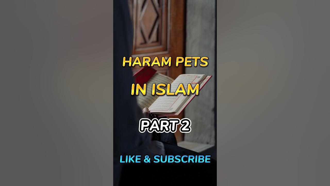 HARAM PETS IN ISLAM PART 2 islamicshorts viral shorts YouTube