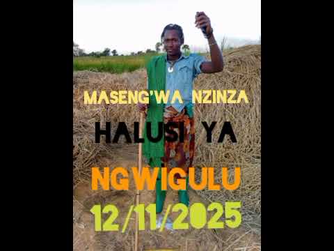 Maseng Wa Nzinza Halusi Ya Ngwigulu 0620232254 Msambazaji Lukonga Jidaha 2025