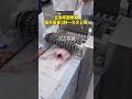 Bone chopper" "Bone cutter" "Fully automatic bone chopper"