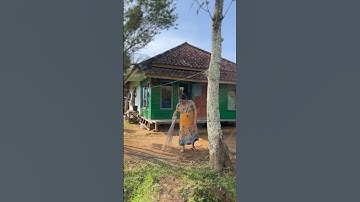 Suasana Pagi di Desa yang Indah #youtube #short #viral #desa #fyp