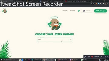 STARKNET Domain Plus NFT MINT { BIG AIRDROP }