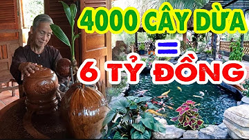 CHƠI LỚN: Chi 4 tỷ đồng để xây ngôi nhà từ 4000 cây dừa ở tỉnh Vĩnh Long