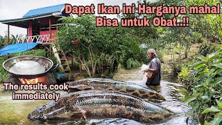 BERBURU IKAN..SAMBIL KE KEBUN!! DAPAT IKAN INI HARGANYA MAHAL & BISA UNTUK OBAT