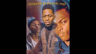 Izingoma Ezimnandi mp3 By Menzi N, Sipho T & PS Shabalala