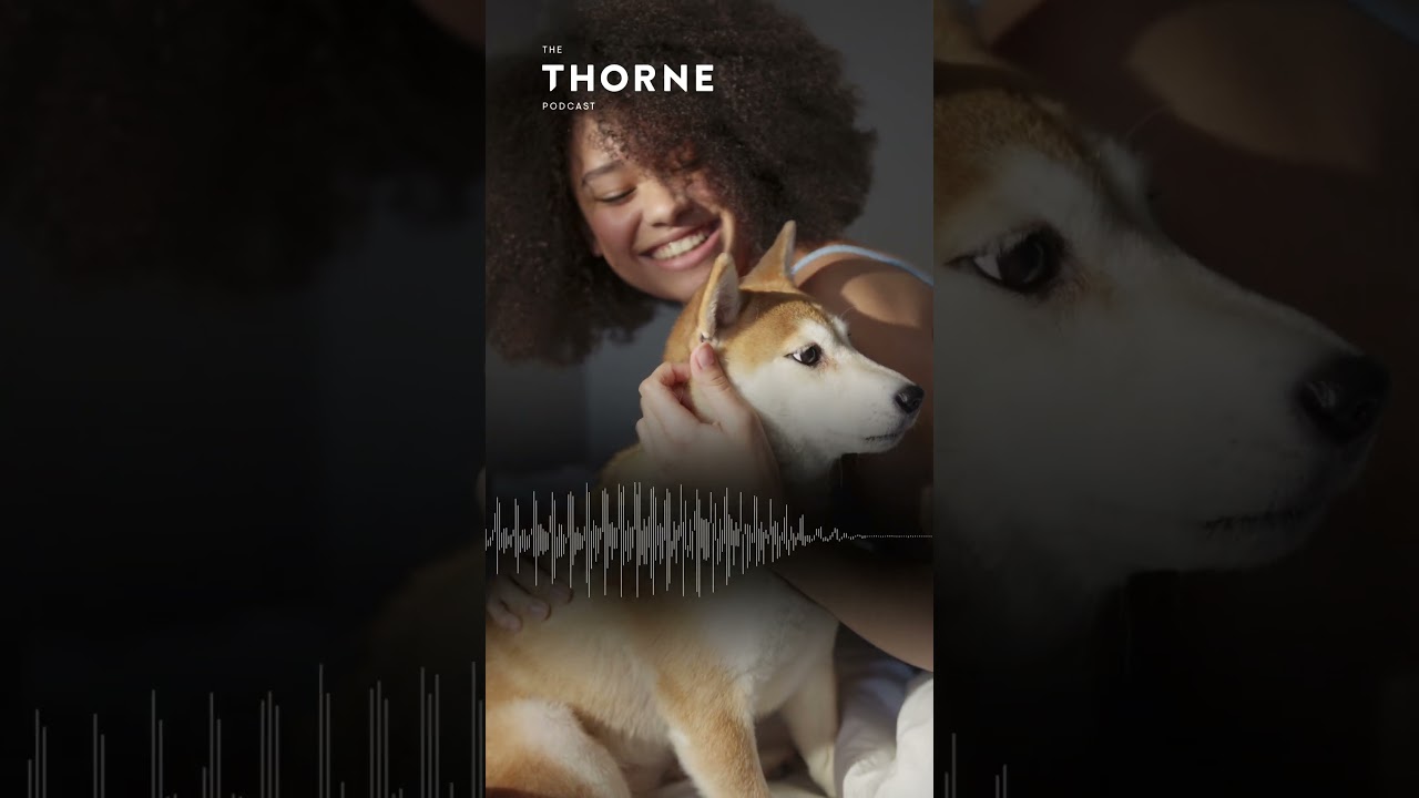 062 Dogs are Good for You