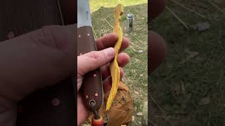 Have You Seen This Wooden Snake?
Fun carving a snake out Osage wood
#carving #snakes #knives Have You Seen This Wooden Snake?