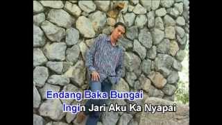 Dara Puchuk Meligai - Stevenson