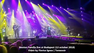 Neoton Família live at Budapest (2018) (HD) | 2 | Végtelen játék