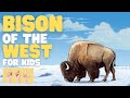 Bison Facts and Conservation