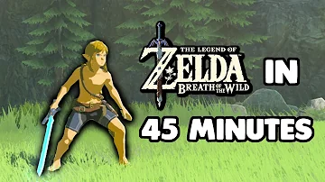 How quickly can you beat breath of the wild?