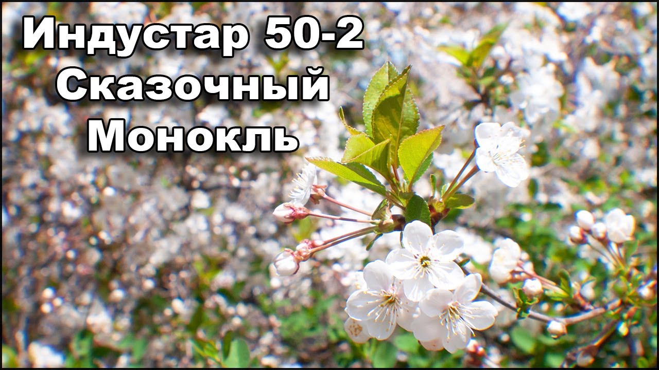 Индустар 50 Фото