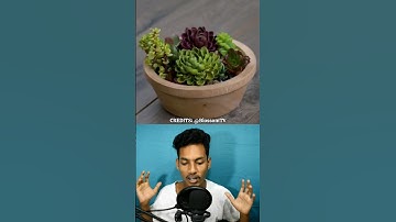 Simple Solutions to Everyday Problems - Daily Hacks Tricks and Tips to Make Every Day Easy #shorts