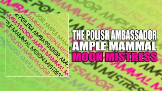 Moon Mistress - The Polish Ambassador, Ample Mammal
Follow Jumpsuit Records Radio Playlist on Spotify here: https://tinyurl.com/yxmj4c7g
Its the definitive Jumpsuit Records Spotify playlist. Features every song in the Jumpsuit Records catalog and every song we will release in the future. Updated weekly with new music. Hit shuffle and find a new song or artist that you will LOVE. A great way to get to know the artists on the label, hear the more obscure tracks, and witness the evolution of our artists. Listen to this single everywhere!
Spotify: https://fanlink.tv/wXVp
Amazon: https://fanlink.tv/wXVq
Itunes: https://fanlink.tv/wXVr
Bandcamp: https://fanlink.tv/wXVs
Soundcloud: https://fanlink.tv/wXVv
Are you a DJ, Radio Host, or simply want to be one of our core supporters? Jumpsuit VIP allows early access to all of our music for subscribers.
Unreleased tracks from established Jumpsuit artists like The Polish Ambassador, Wildlight as well as tunes from artists on the rise.
Check it out here - https://fanlink.tv/wGmH
Cancel anytime. Moon Mistress - The Polish Ambassador, Ample Mammal