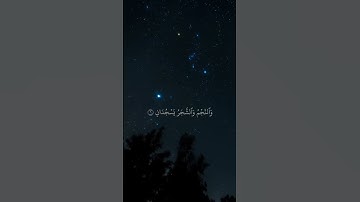 القارئ علي جابر ♥️ سورة الرحمن ♥️