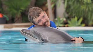 Minecraft Dolphin Trainer Addon Update Release Celebration! Direct Download Link in Description!🐬👀 screenshot 5