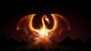Top 10 Weird \& Amazing Shell Fireworks !!