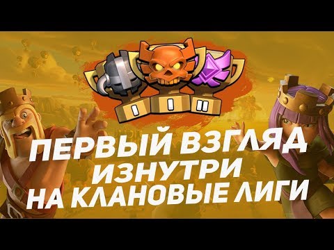 Сколько раз в месяц вы можете очистить