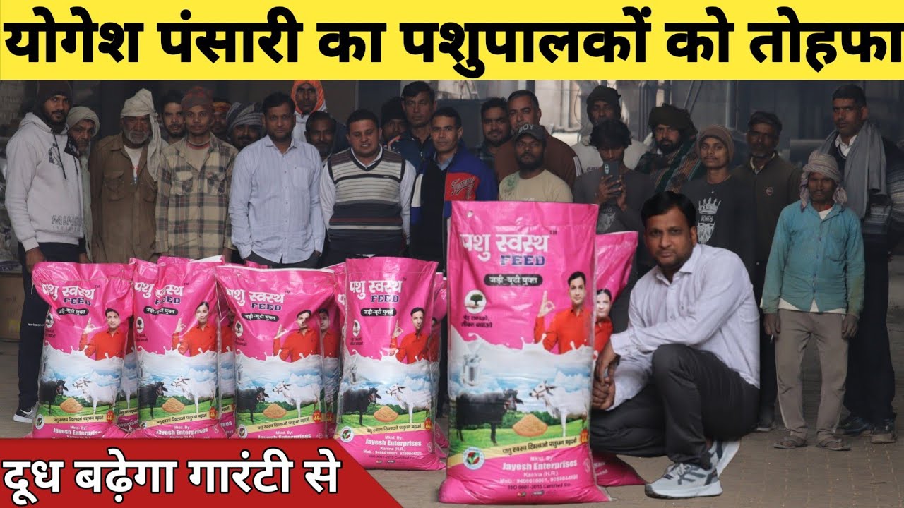 योगेश पंसारी का पशुपालकों को तोहफा, अब दूध भी बढ़ेगा और लेवटी भी || Pashu Swasth Feed (9466616601)