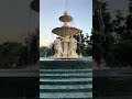 Amazing view in slow motion you will love #shorts #viral #shortsfeed #amazing