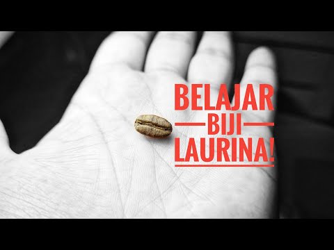 Video: Menumbuhkan Gunung Laurel Dari Biji – Pelajari Kapan Menabur Biji Laurel Gunung