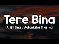 Tere Bina (Lyrics) - Arijit Singh, Aakanksha Sharma 🎶 | Apne dil se mera haq mitane lage ✨