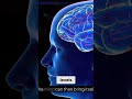 Unlock Higher Consciousness: Train Your Brain to Resonate #shorts