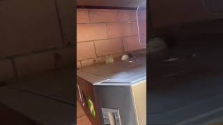 Paying For Bart Using A Free Weekend Ticket