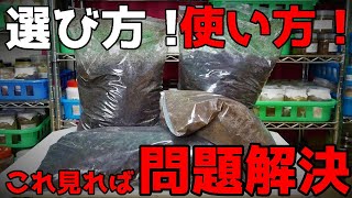 【全て解決】カブトムシ！クワガタムシの飼育や産卵に必要なマットの選び方と使用方法！