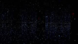 Yayoi Kusama - Fireflies Infinity Mirror Room (2026-01-23, Phoenix Art Museum, Phoenix, AZ) [4K]
